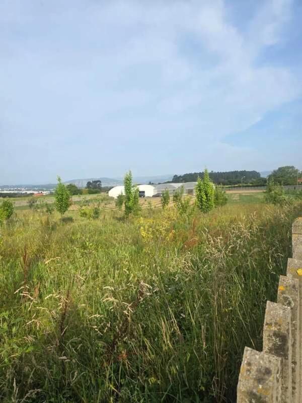 Terreno en venta en Ferrol, A Coruña photo 2