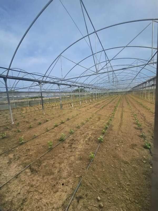 Terreno en venta en Ferrol, A Coruña photo 3