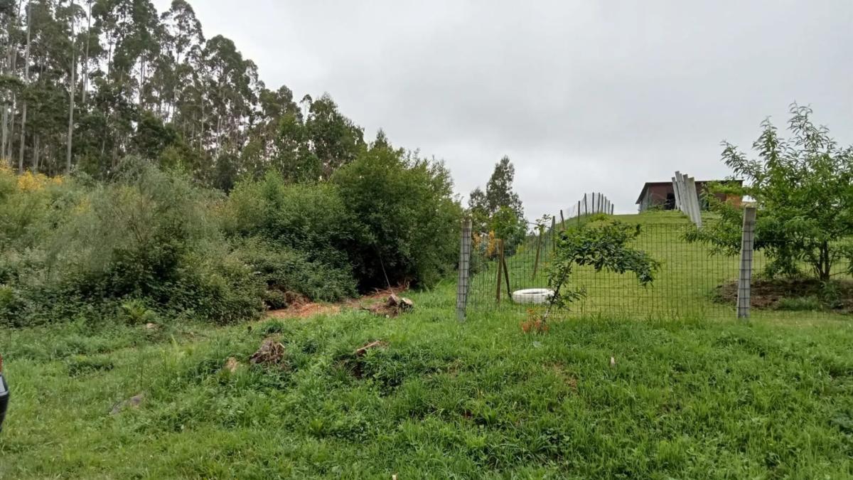 Terreno en venta en San Sadurniño, A Coruña photo 2