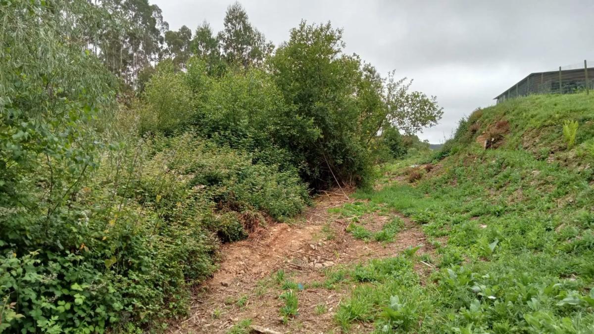 Terreno en venta en San Sadurniño, A Coruña photo 3