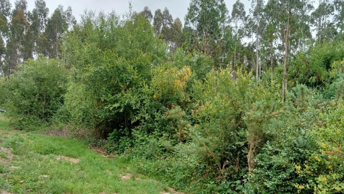 Terreno en venta en San Sadurniño, A Coruña photo 4