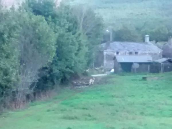 Terreno en Chao s/n photo 2