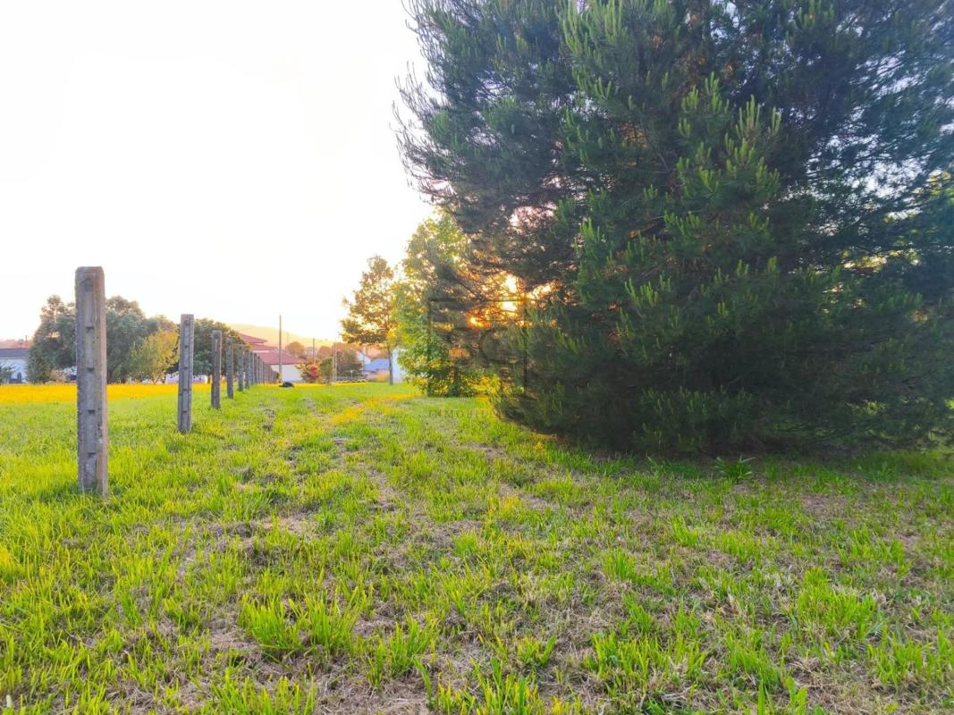 Terreno en venta en Mugardos, A Coruña photo 4