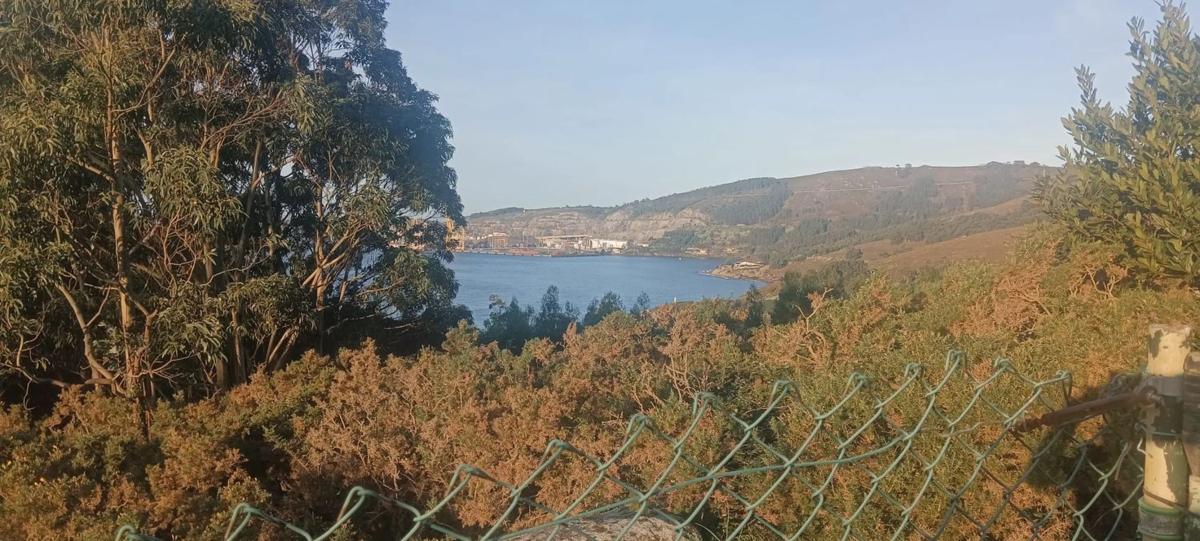 Terreno en venta en Ferrol, A Coruña photo 2