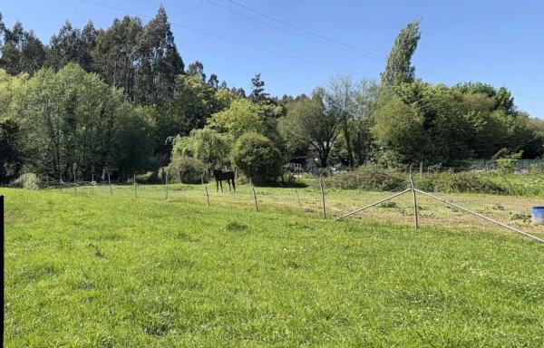 Terreno en Dp-5401 photo 2
