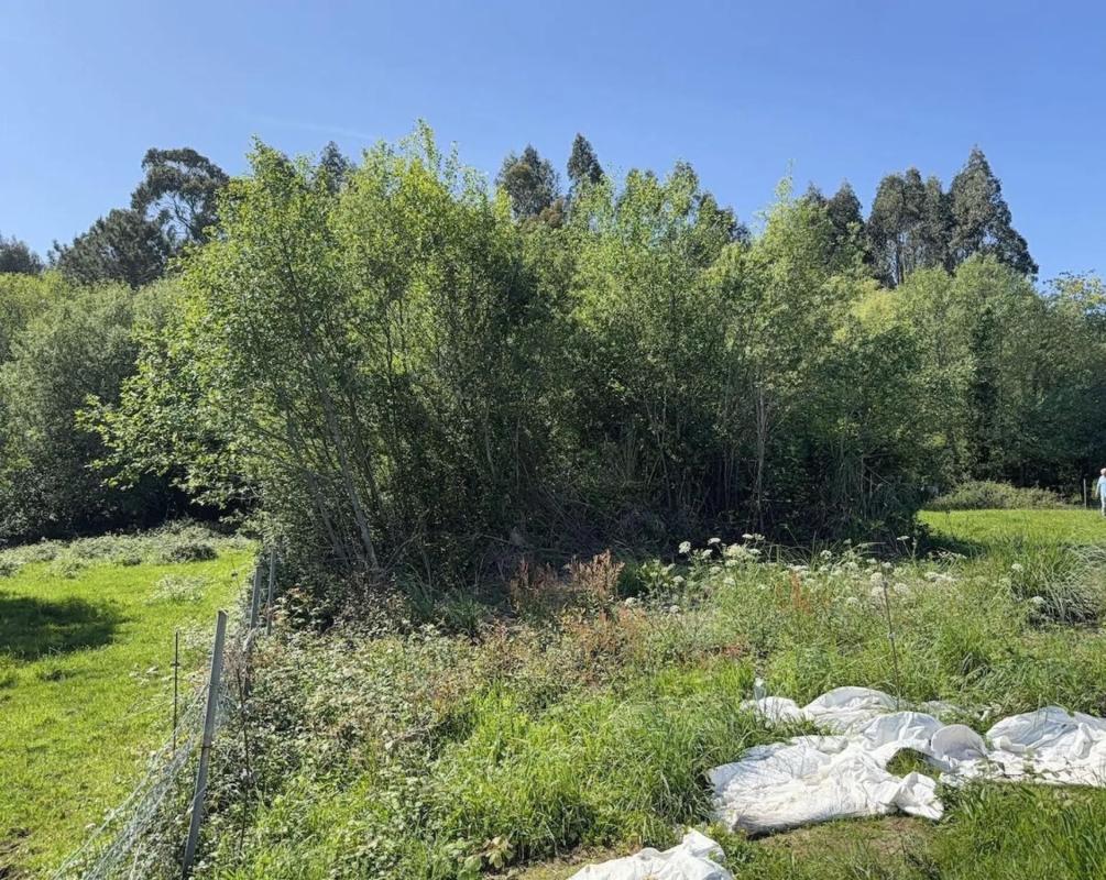 Terreno en venta en Narón, A Coruña photo 3