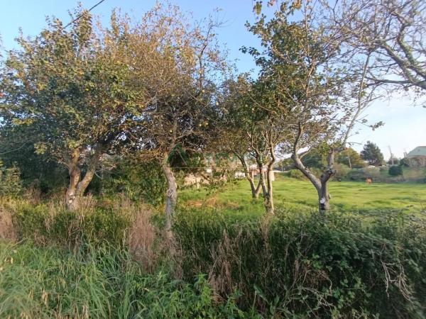 Terreno en Feal-Xuvia photo 2