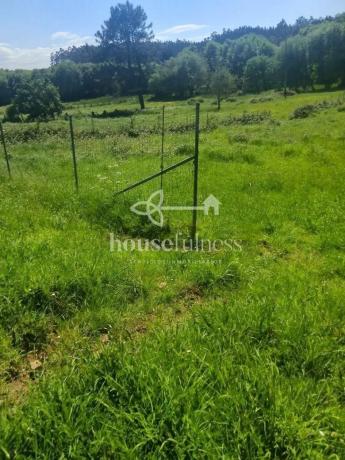 Terreno en Feal-Xuvia photo 3