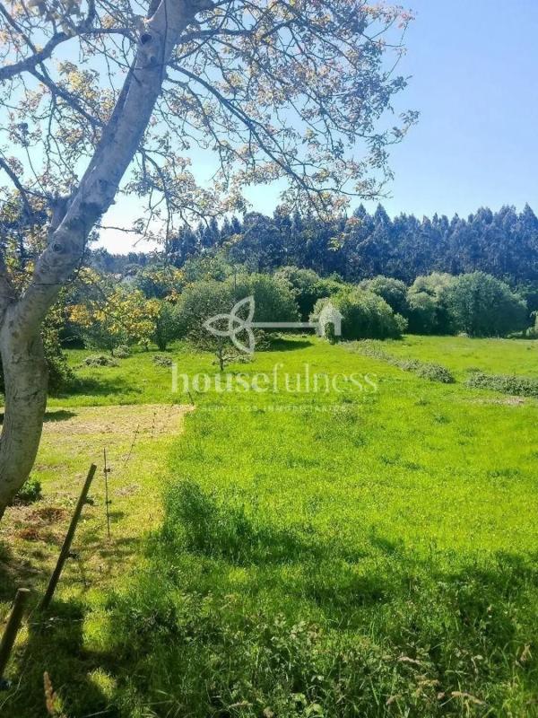 Terreno en venta en Narón, A Coruña photo 5