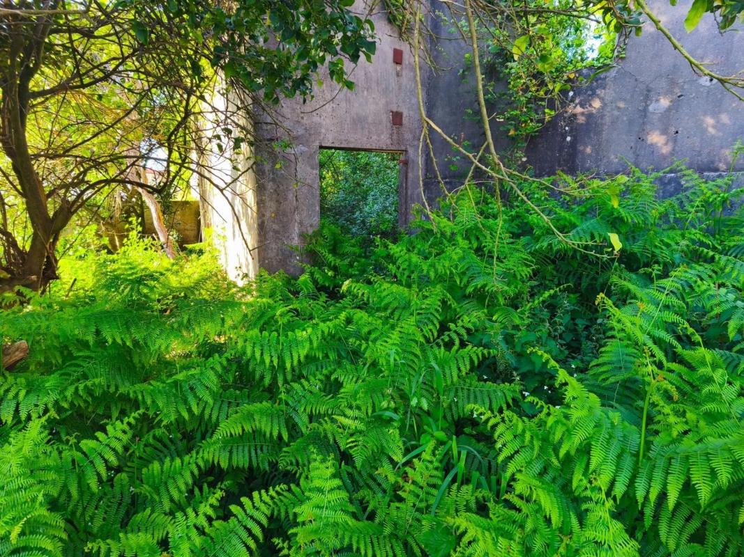 Land for sale in Fene, A Coruña photo 3
