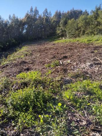 Terreno en Lugar Penadovico, 2 photo 2