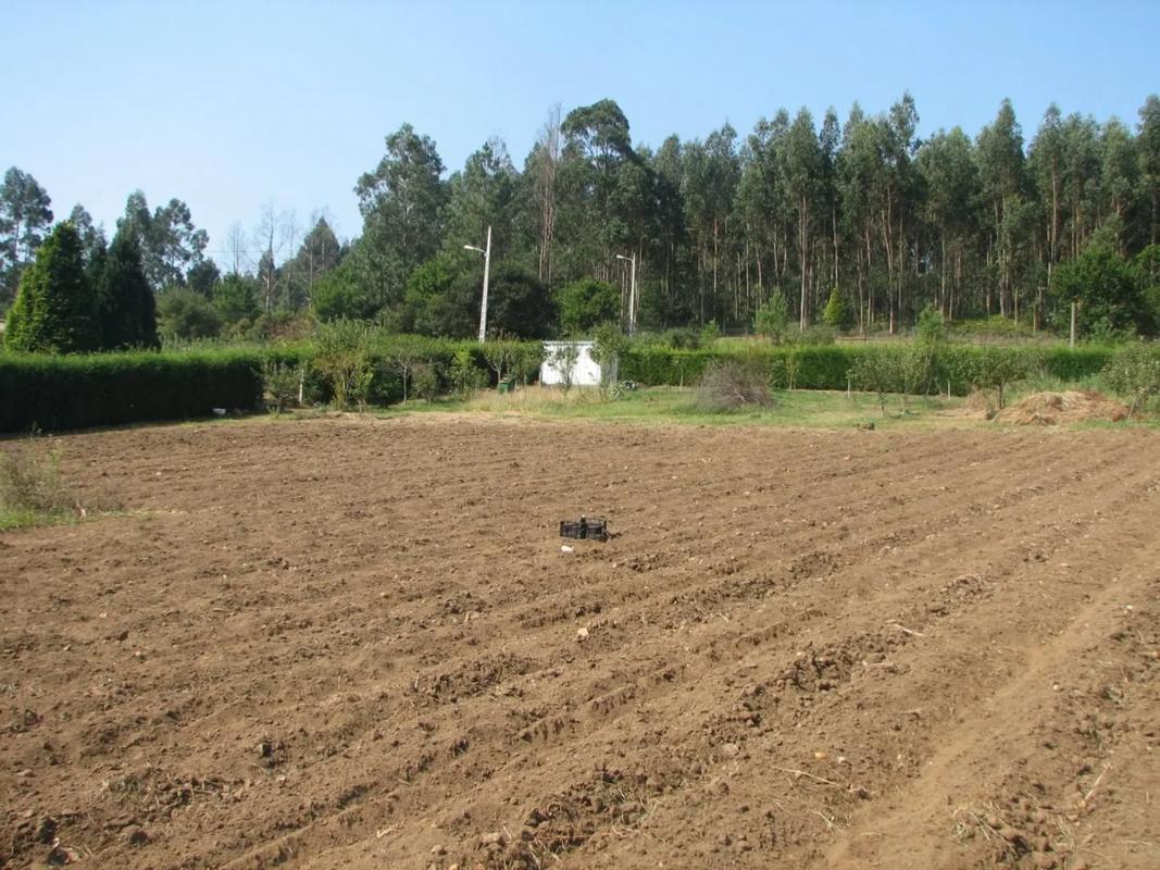 Terreno en venta en Narón, A Coruña photo 5