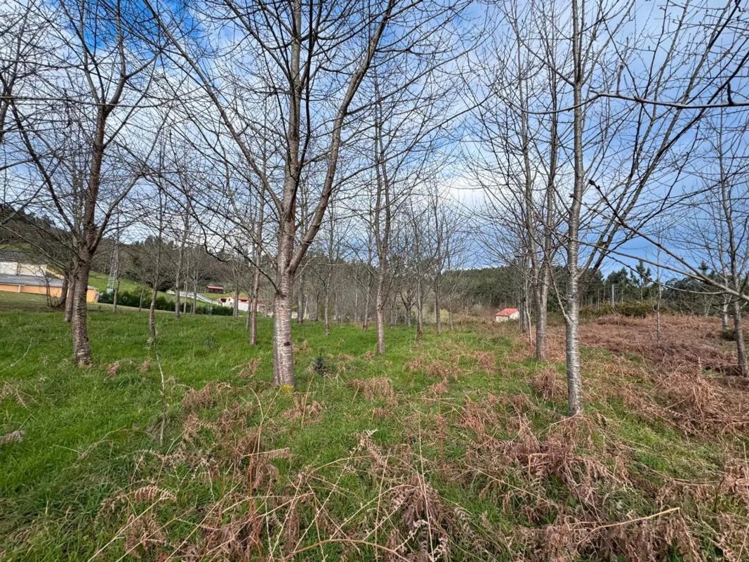Terreno en venta en Narón, A Coruña photo 2