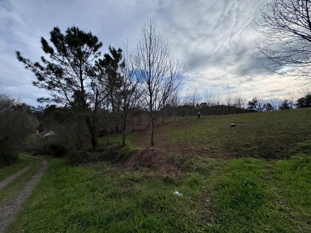 Terreno en venta en Narón, A Coruña photo 4