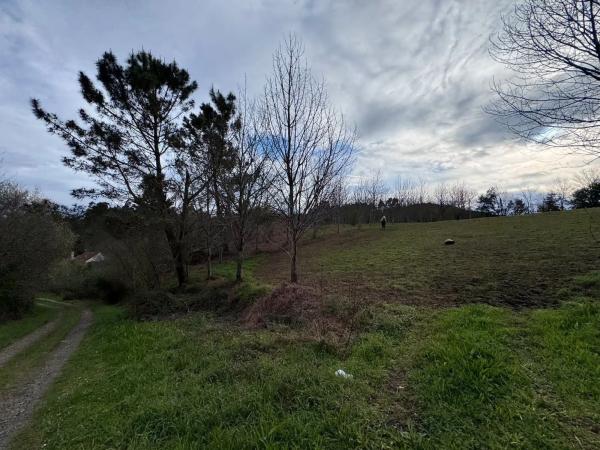 Terreno en Dp-5404 photo 4