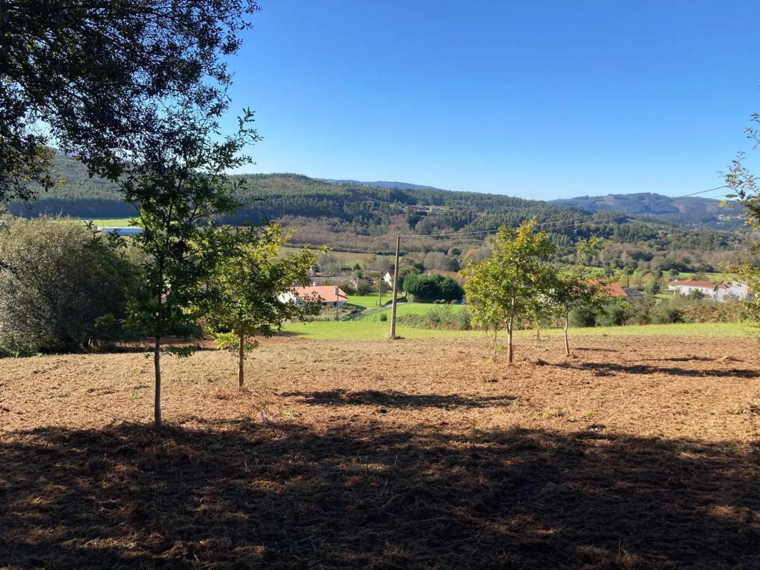 Land for sale in San Sadurniño, A Coruña photo 2