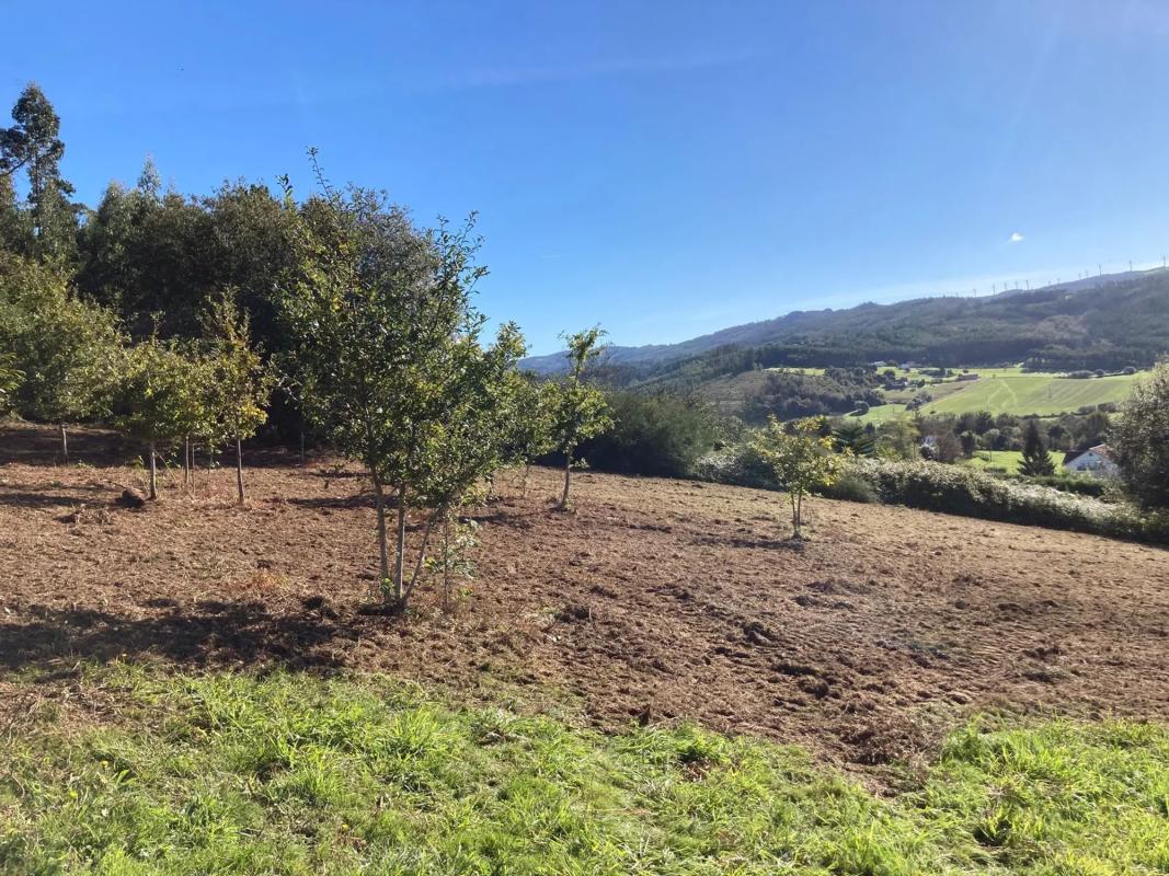 Land for sale in San Sadurniño, A Coruña photo 3