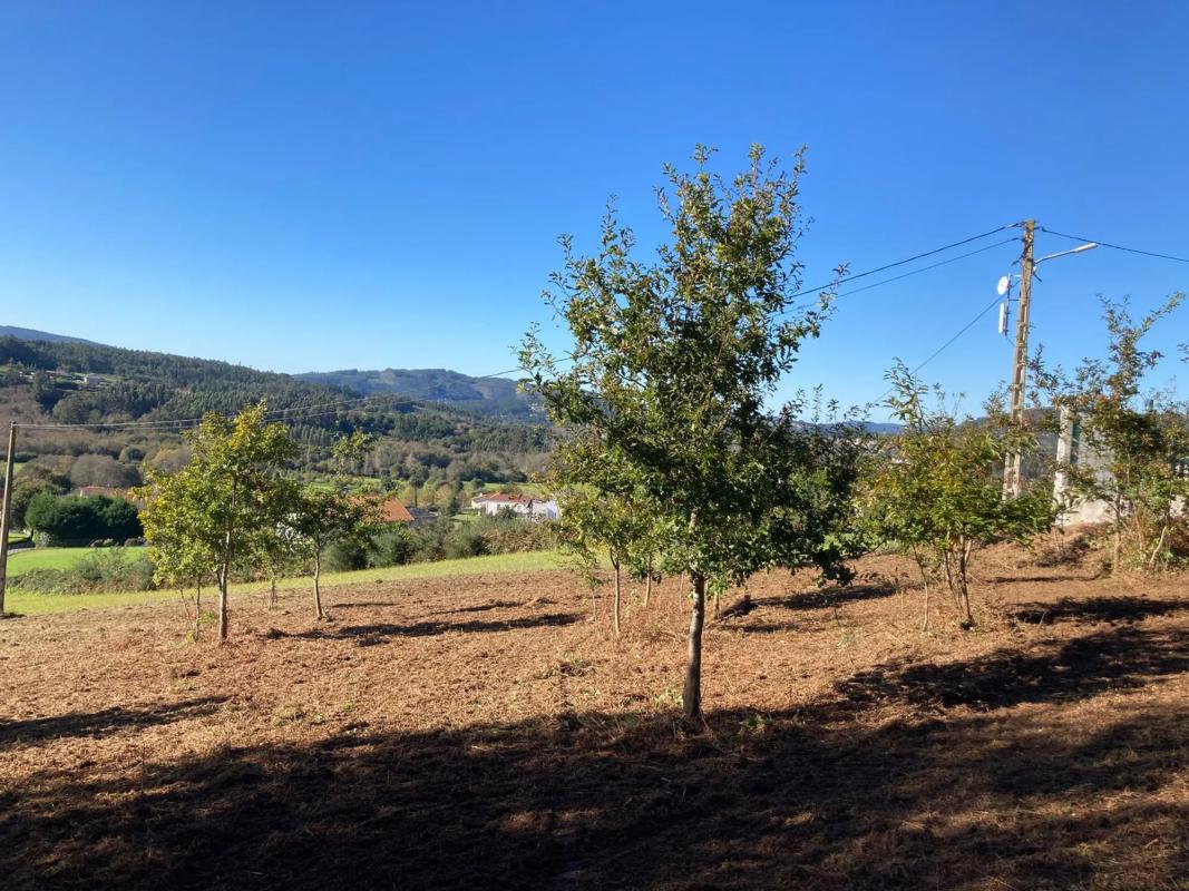 Land for sale in San Sadurniño, A Coruña photo 4