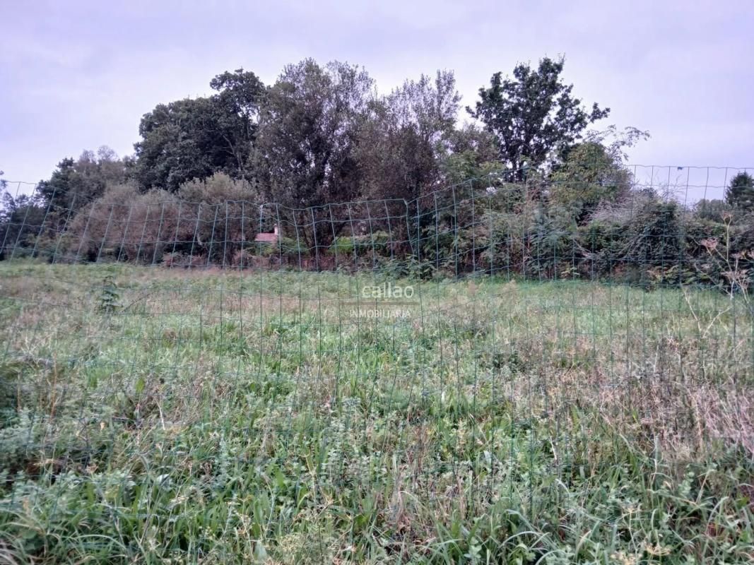 Terreno en venta en Narón, A Coruña photo 4