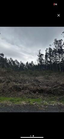 Terreno en Cal da moura s/n photo 1