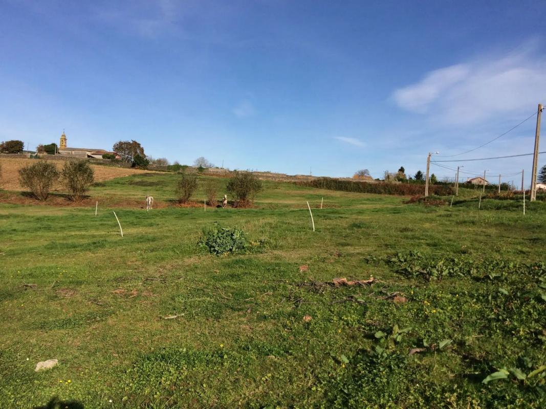Terreno en venta en Mugardos, A Coruña photo 3