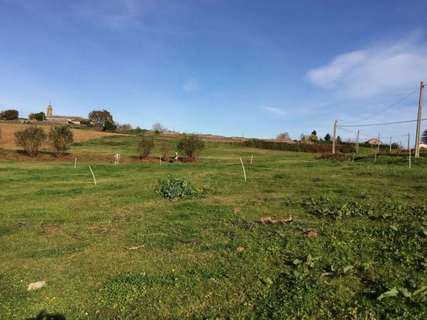 Terreno en Aldea Roibeiras, 1 thumbnail 2