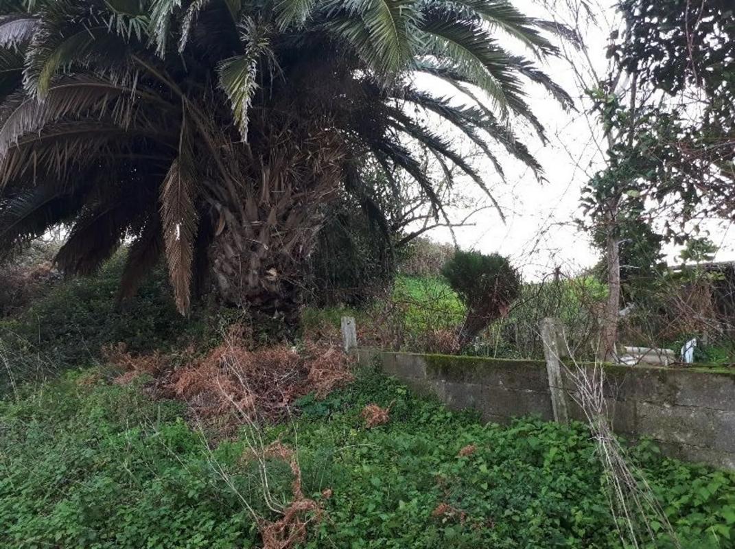 Terreno en venta en Narón, A Coruña photo 5