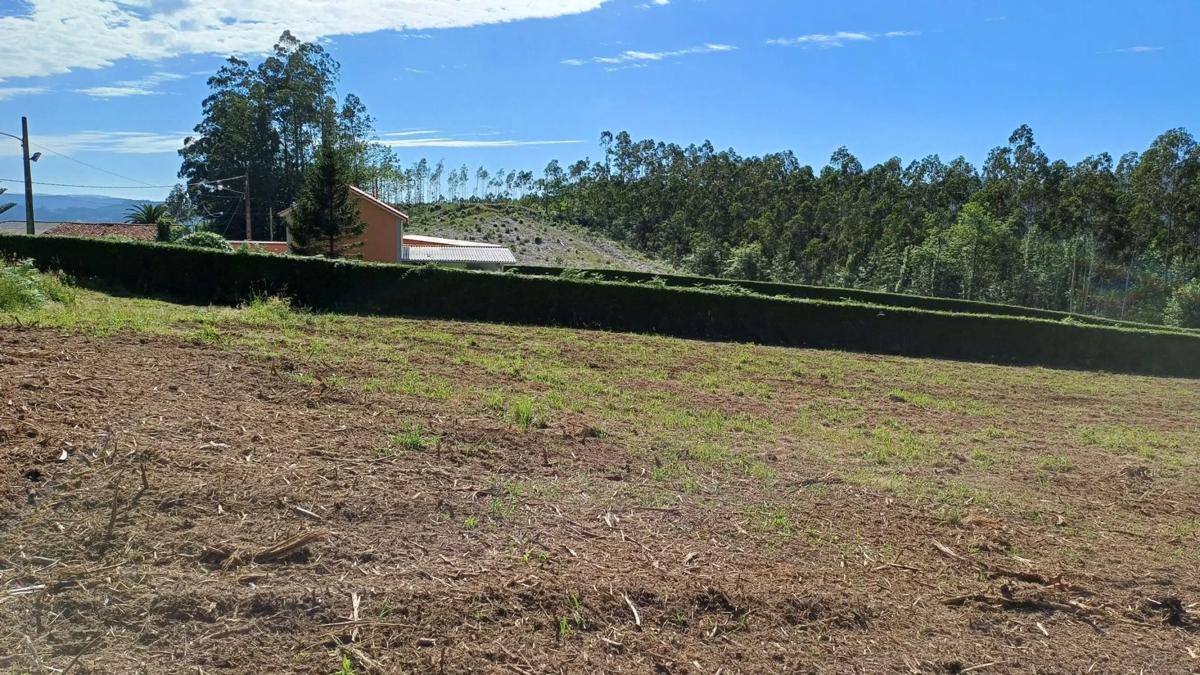 Terreno en venta en Cedeira, A Coruña photo 3