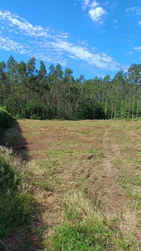 Terreno en venta en Cedeira, A Coruña photo 4