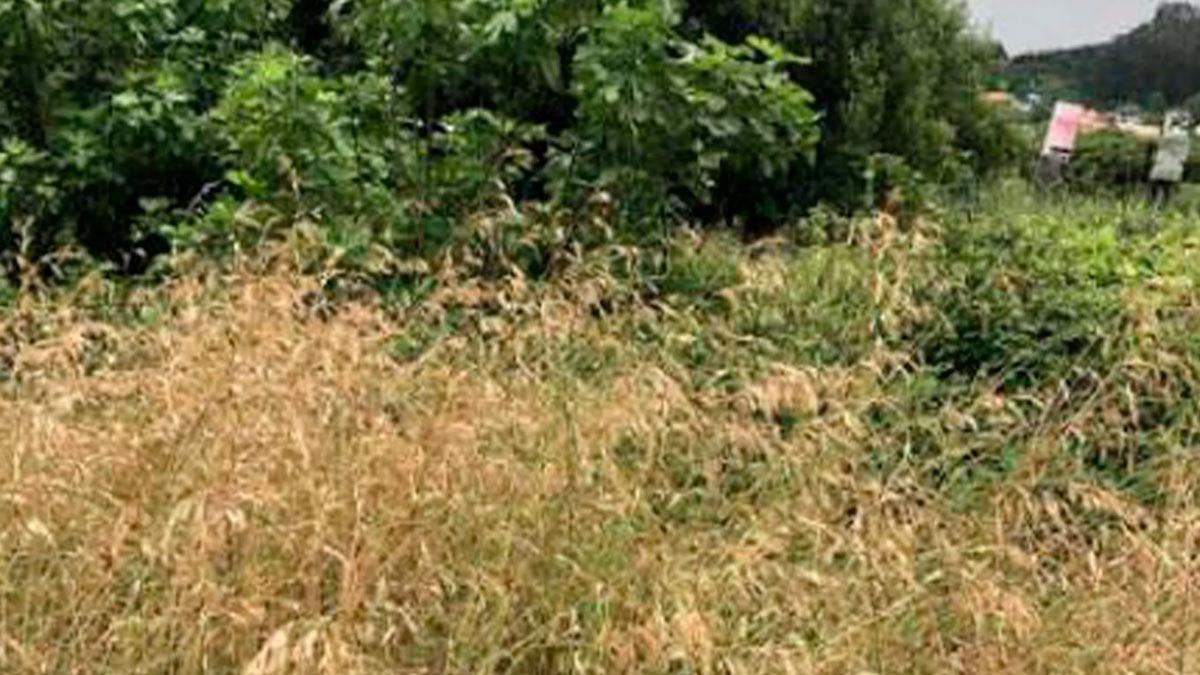 Land for sale in Cedeira, A Coruña photo 4