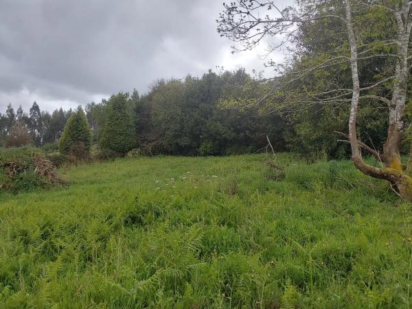 Terreno en Lugar Torre, 4 photo 2