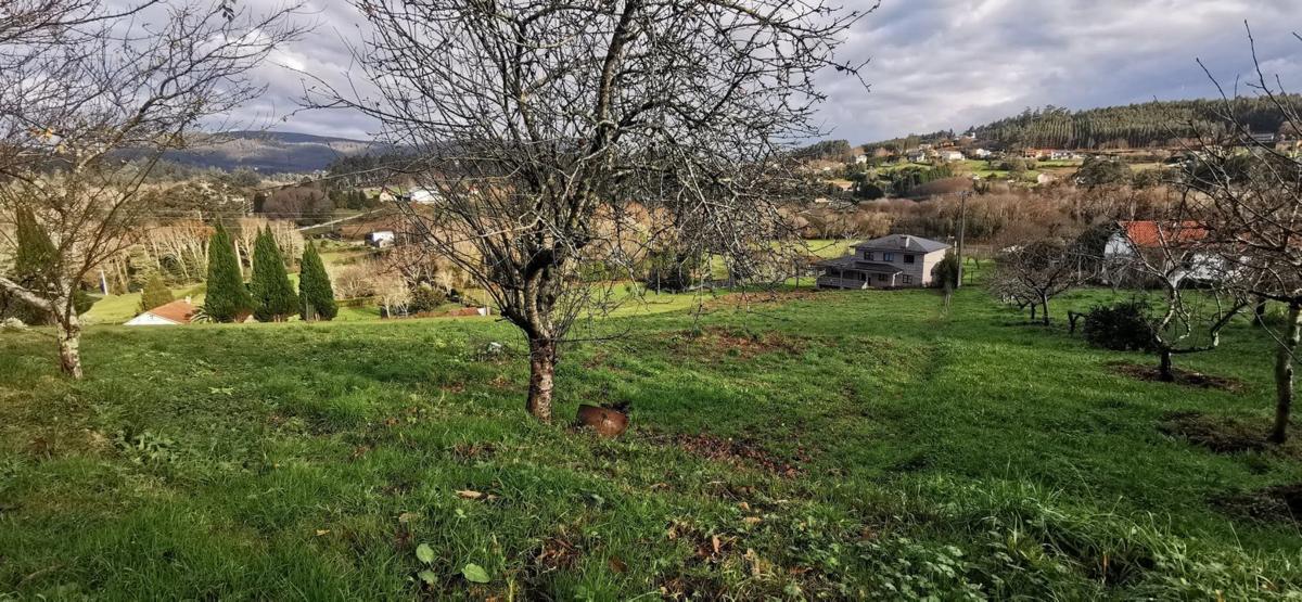 Terreno en venta en Narón, A Coruña photo 3
