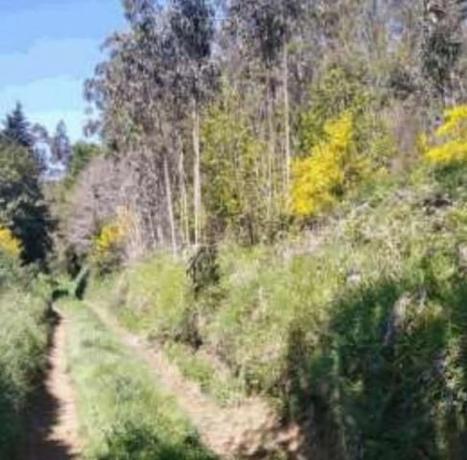 Terreno en Moeche photo 3