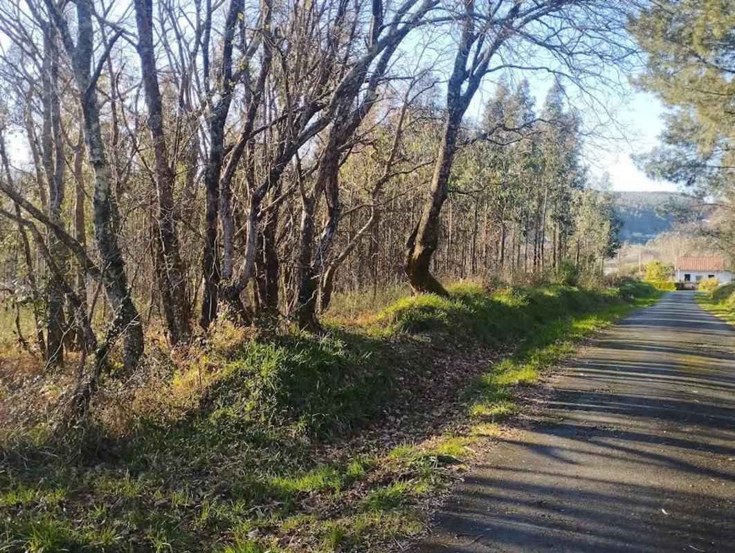 Działka na sprzedaż w Ferrol, A Coruña photo 1