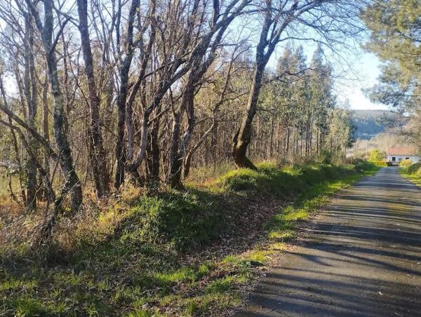Terreno en Aldea Pazos s/n photo 1