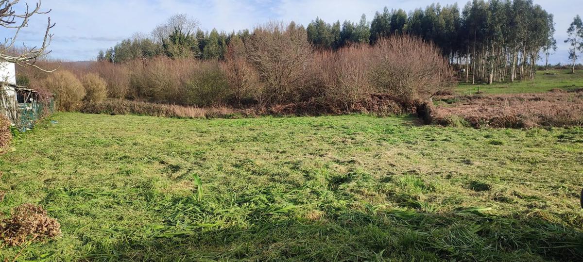 Terreno en venta en Narón, A Coruña photo 5