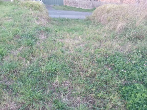 Terreno en Loureiros photo 1