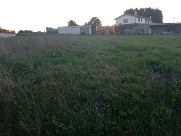 Terreno en Loureiros photo 4