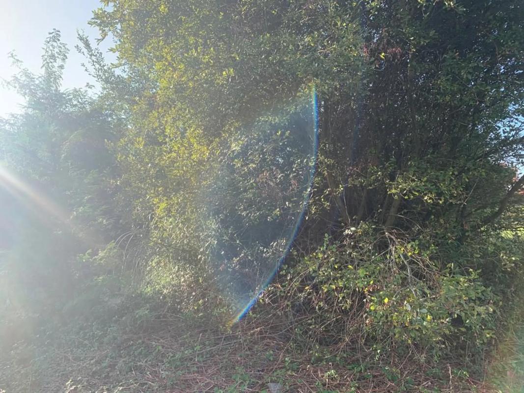 Terreno en venta en Ferrol, A Coruña photo 3