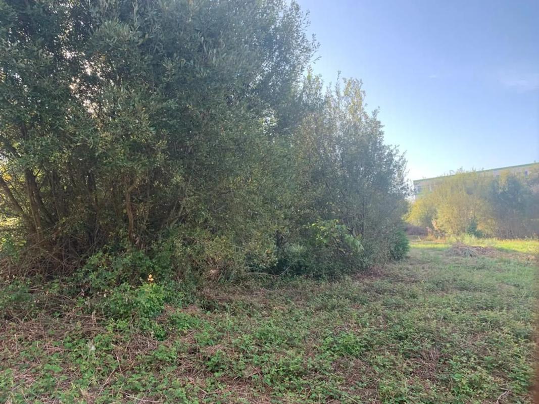 Terreno en venta en Ferrol, A Coruña photo 4