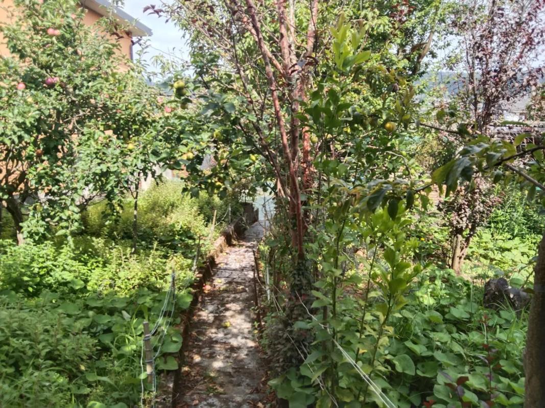 Terreno en venta en Ferrol, A Coruña photo 4