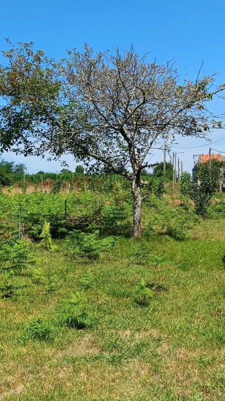 Terreno en venta en Mugardos, A Coruña photo 3