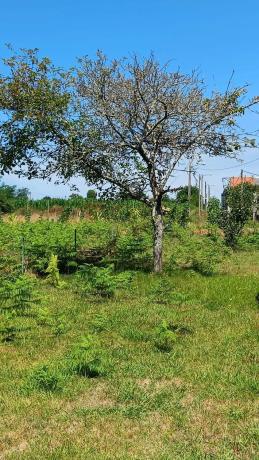 Terreno en calle Galiñeiro, 35 thumbnail 2