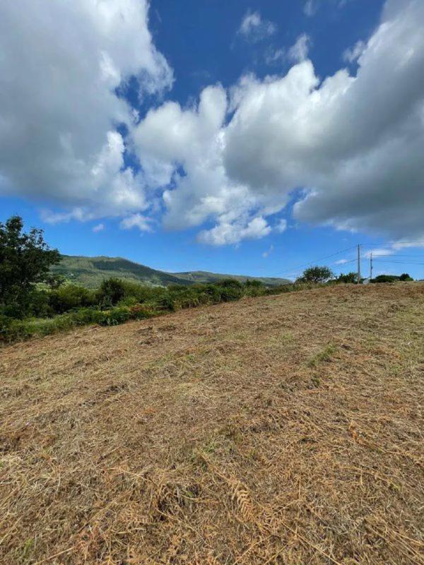 Terreno en venta en Cedeira, A Coruña photo 2