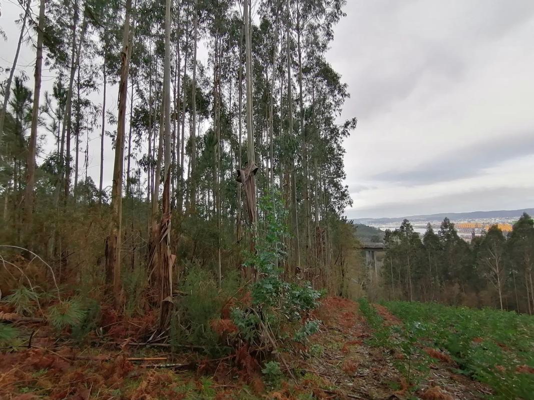 Terreno en venta en Fene, A Coruña photo 1