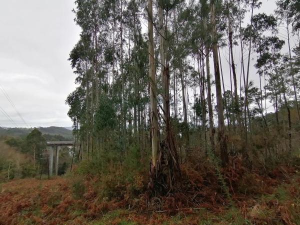 Terreno en Porta do Sol, km 29 thumbnail 1
