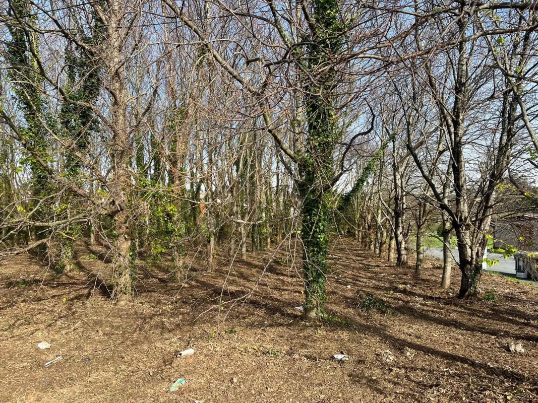 Land for sale in Valdoviño, A Coruña photo 1