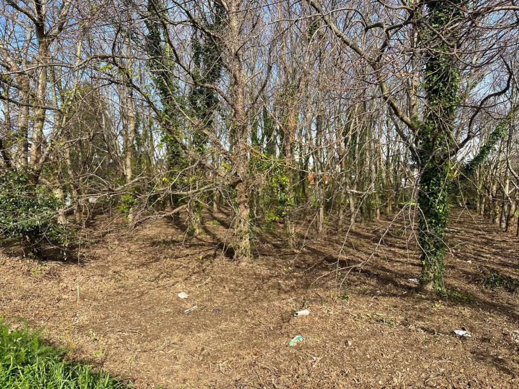 Land for sale in Valdoviño, A Coruña photo 3