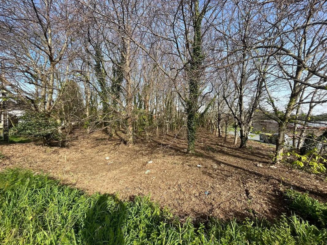 Land for sale in Valdoviño, A Coruña photo 5