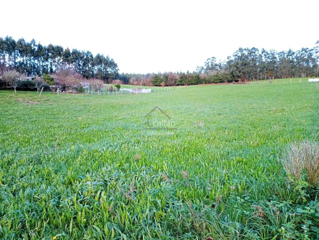 Land for sale in Valdoviño, A Coruña photo 1